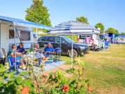 waterhoen nieuw (7) verkleind.jpg