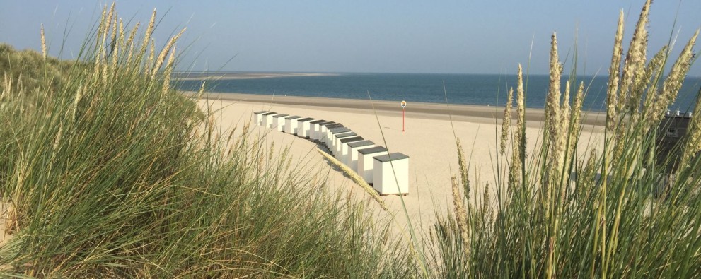 Strand Julianahoeve.jpg
